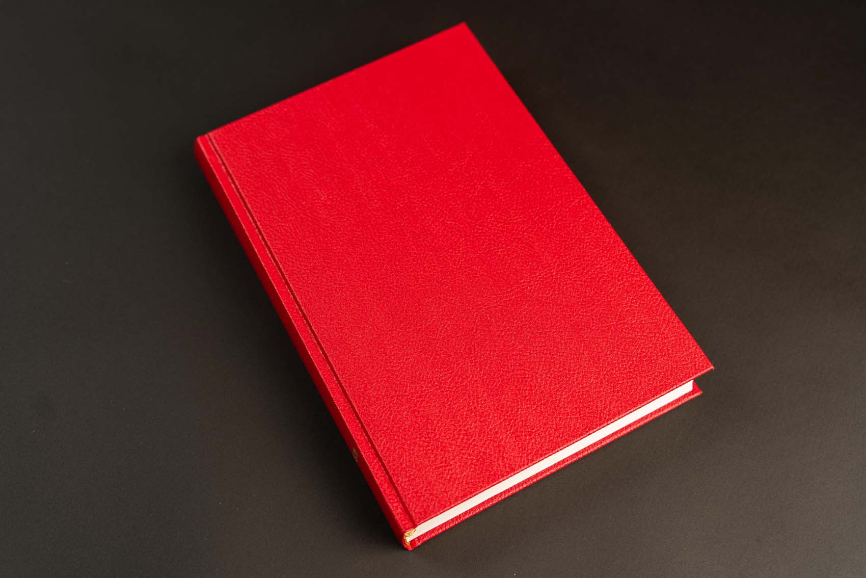 intermedius-graafinen-10